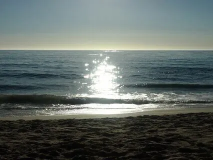 Meet Your Guardian Angels