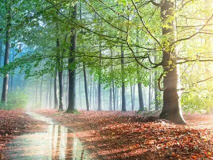 Meet Your Guide And Receive Inspiration