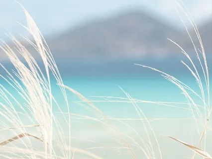 Meet Your Heart - A Soul Journey