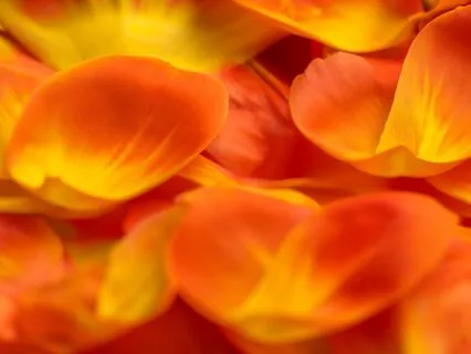 Meet Your Higher Self: Clarity & Guidance, Deeper Connection