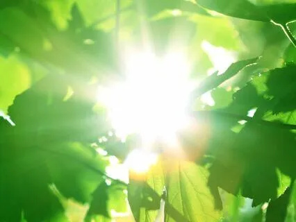 Meet Your Higher Self + Ignite Your Potential