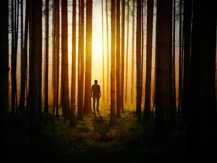 Meet Your Higher Self: Sleep Journey