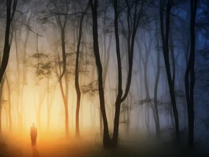 Journey With Your Highest Self: Sleep Story