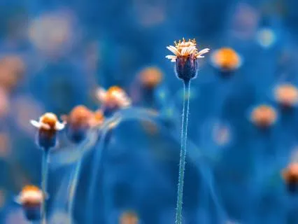 Meet Your Higher Self – Sleep Meditation With Affirmations