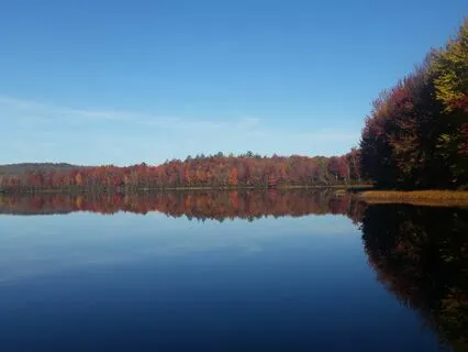 Meet Your Inner Child