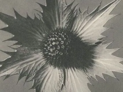 Meet Your Inner Creative Guide