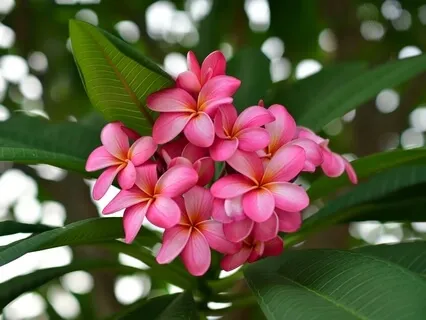 Meet Your Financial Mentor