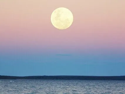 Meet Your Moon Archetype