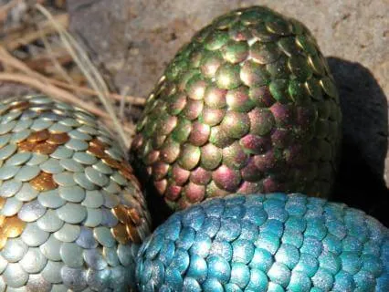 Meet Your Own Dragon