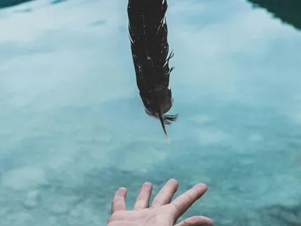 Meet Your Power Animal In The Lower Shamanic World