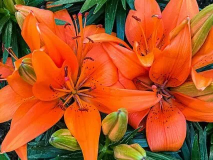 Meet Your Sacral Chakra