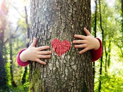 Meet Your Soul | All Heart Chakra Tuning Forks