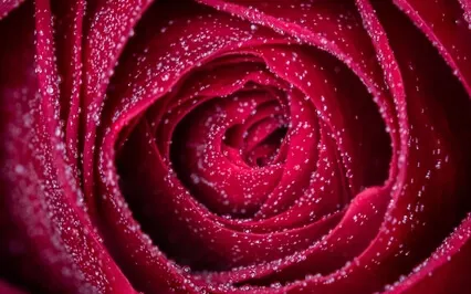 Meet Your Soulmate, Manifestation Guided Meditation 