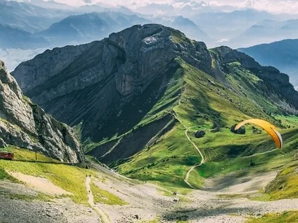 Meet Your Spirit Guide