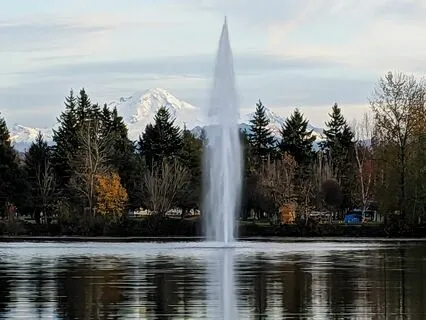 Meet Your Spirit Guide