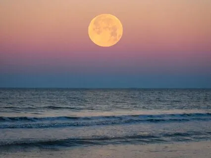 Meet Your Spirit Guide Through The Lunar Portal