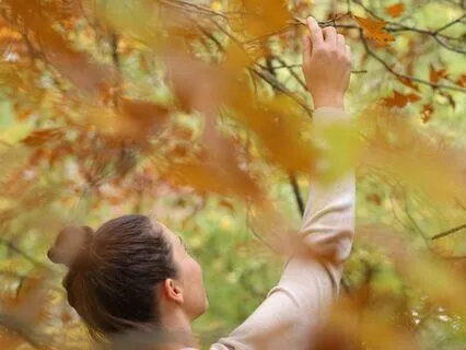 Meet Your Spirit Guides