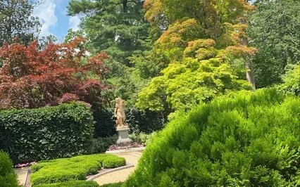 Meet Your Spirit Guides, Angels & Ancestors