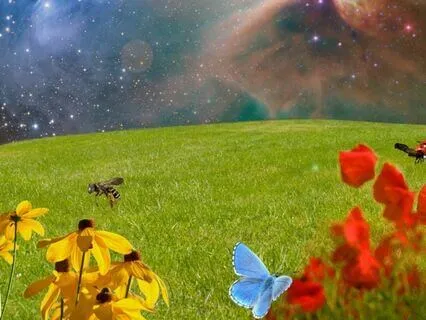 Meet Your Spirit Guides