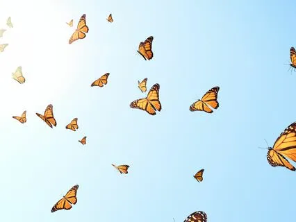 Meet Your Spirit Guides