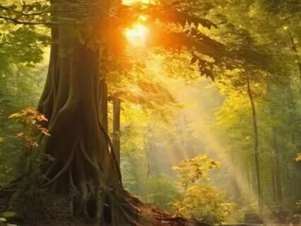 Meet Your Spirit Guides