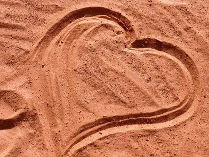 Meet Your Tender Heart With Softness