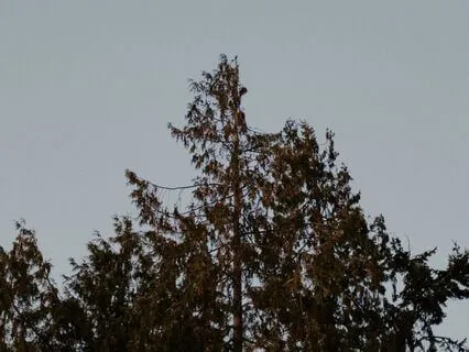 Meet Yourself In The Moment