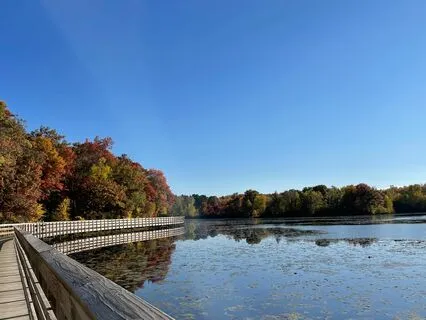 Meeting A Loved One Meditation