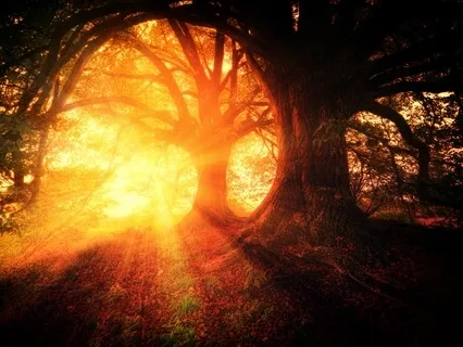 Meeting an Inner Wisdom Figure