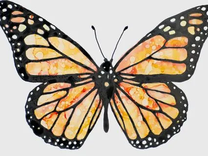 Meeting And Accepting Your Emotions