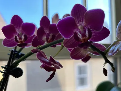 Meeting And Nourishing Resistance