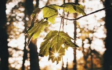 Meeting Anger With Kindness Meditation