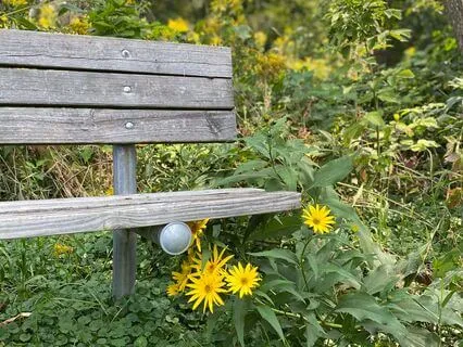 Meeting Change With Mindful Compassion