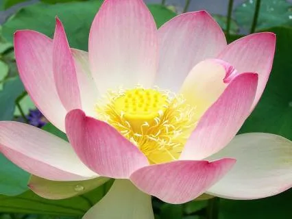 Meeting Difficult Emotions With Kindness