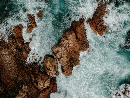 Meeting Difficulty With Ease And Presence In Sphinx Pose