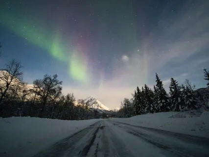 Meeting Grief And Loss With An Open heart