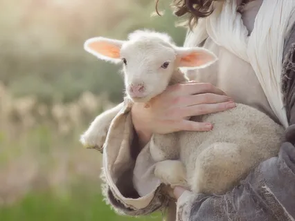 Meeting A Being Of Love And Compassion