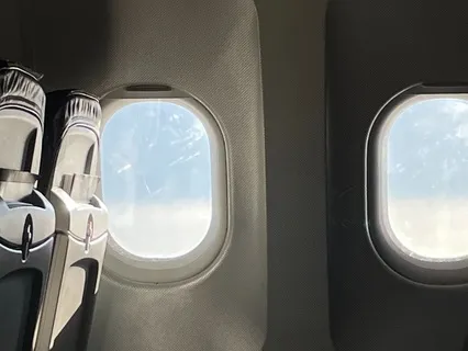 Meeting Life, Right Here