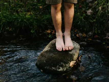 Meeting Life's Sacred Living System