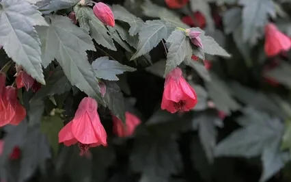 Meeting Myself: Validation & Forgiveness 