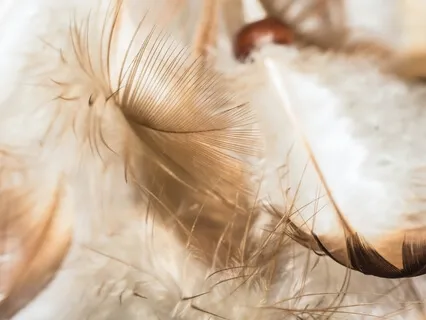 Meeting One Of Your Spirit Guides