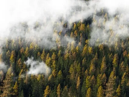 Meeting Ourselves & Others With Kindness