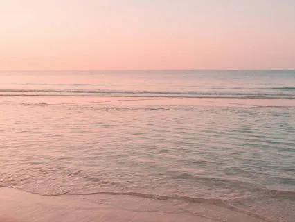 Meeting Suffering With Presence