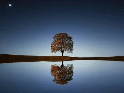 Meeting The Anima - Active Imagination