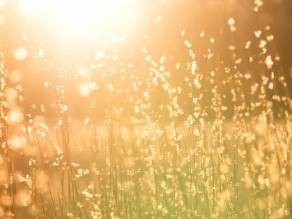 Meeting The Breathing Space With Kindness