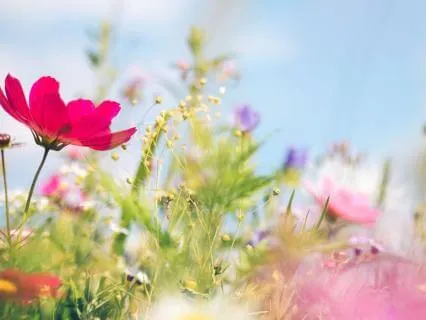 Meeting The Moment | Jewish Meditation On Ki Tisa & Hod