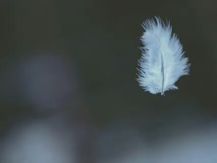 Meeting The Part Of You That Holds Resentment