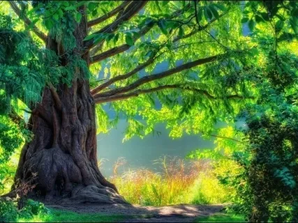 Meeting The Source Within