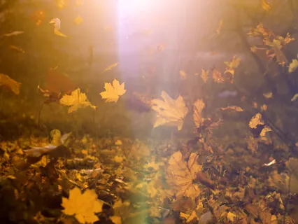 Meeting The Spirit Of Your Contraction