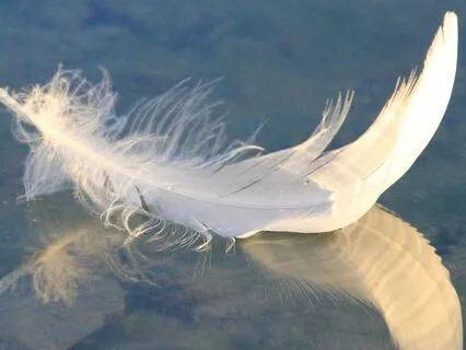 Meeting The Unemployed Angels